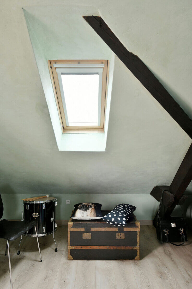 un tattoo shop avec une decoration ambiance cosy et une malle